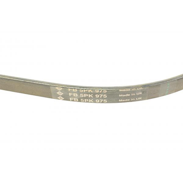 FB5PK975 INA Ремінь генератора BMW 5 (E34)/7 (E38)/Citroen BX/Daewoo Lanos/Nexia 85-01(5PK975)