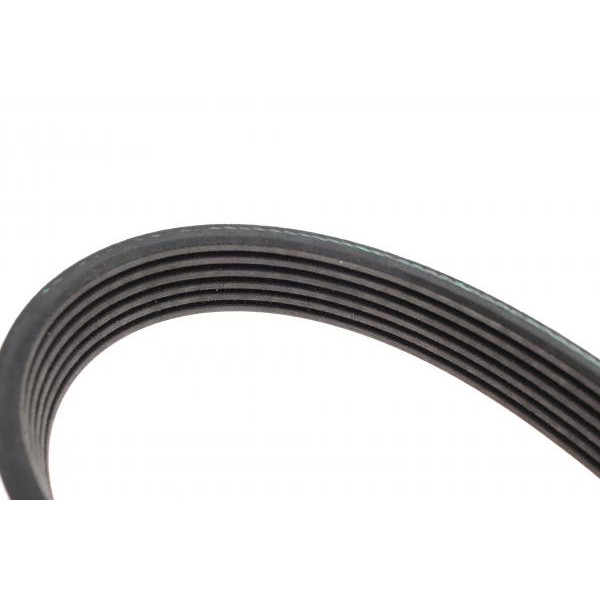 FB6PK1570 INA Ремінь генератора Audi A4/A6 1.6-2.0 00-08 (6PK1570)