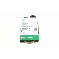 FB6PK815 INA Ремінь генератора Fiat Punto/Stilo 1.9 JTD 99-06