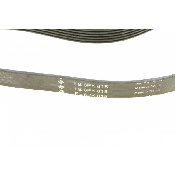 FB6PK815 INA Ремінь генератора Fiat Punto/Stilo 1.9 JTD 99-06