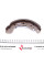 KBS1401 KAVO PARTS Колодки гальмівні (задні) Chevrolet Aveo 06- (барабанні) (200x36)