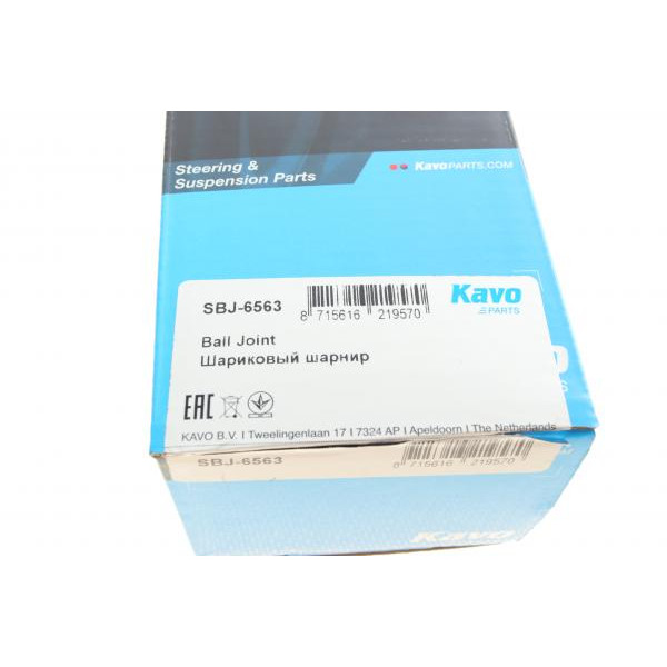 SBJ6563 KAVO PARTS Опора кульова (передня/знизу) Renault Master/Opel Movano 98-
