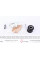 SCR2090 KAVO PARTS Сайлентблок важеля (переднього) Honda CR-V III 07-
