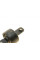 SCR3130 KAVO PARTS Сайлентблок важеля (заднього) Hyundai I30 07-12/Kia Cee'D 06-12