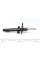 SSA10219 KAVO PARTS Амортизатор (передній) Renault Scenic 03-