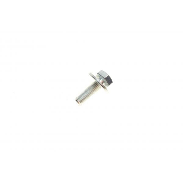SSM10056 KAVO PARTS Подушка амортизатора (переднього) + підшипник Citroen Berlingo -08