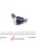 STE1013 KAVO PARTS Наконечник рульової тяги Daewoo Nubira/Leganza 97- (L=96)