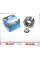 WBK6552 KAVO PARTS Підшипник маточини (передньої) Renault Trafic/Opel Vivaro 01- (45x86x39)