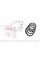 4027667 LESJOFORS Пружина (передня) Ford Kuga I 2.5 4x4 08-12 (SUV)