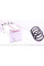 4062078 LESJOFORS Пружина (передня) Nissan NV400 2.3dCi/Opel Movano B 2.3CDTI/Renault Master III 2.3dCi 10-