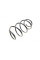 4072986 LESJOFORS Пружина (передня) Renault Grand Scenic/Scenic 1.4/1.6 16V 09- (вен)