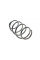 4072987 LESJOFORS Пружина (передня) Renault Scenic III/Grand Scenic III 1.5dCi/1.6dCi/1.9dCi/2.0 16V 09- (вен)