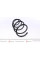 4092597 LESJOFORS Пружина (передня) Toyota Rav 4 III 2.2D/2.2D 4WD 05-13 (SUV)