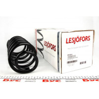 4215616 LESJOFORS Пружина (задня) Citroen Nemo 1.3HDi/1.4/1.4HDi 08- (фургон)