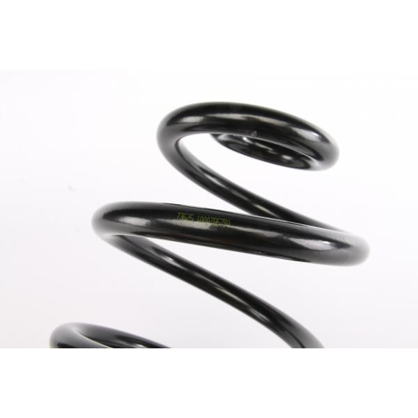 4295027 LESJOFORS Пружина (задня) VW Sharan 1.8T 20V/1.9TDI/2.0/2.0 16V/2.0TDI/2.8 V6 24V/VR6 95- (вен) (з пост.діам)