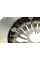 415070810 LuK Демпфер зчеплення Opel Corsa 1.3 CDTI 14-