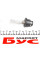 002541100000 MAGNETI MARELLI Автолампа D2S 85V 35W P32d-2 Xenon