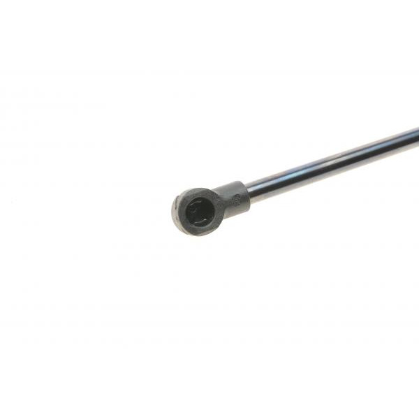 430719046000 MAGNETI MARELLI Амортизатор кришки багажника Audi A3 03-12 (Hatchback)