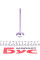 021VA30921100 MAHLE Клапан (випуск) Renault Kangoo 1.6 16V 01- (28x5.5x107.7)