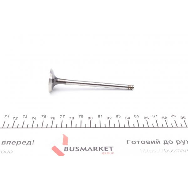 021VA31061000 MAHLE Клапан (випуск) Renault Kangoo 1.5dc (29x6x100.7)