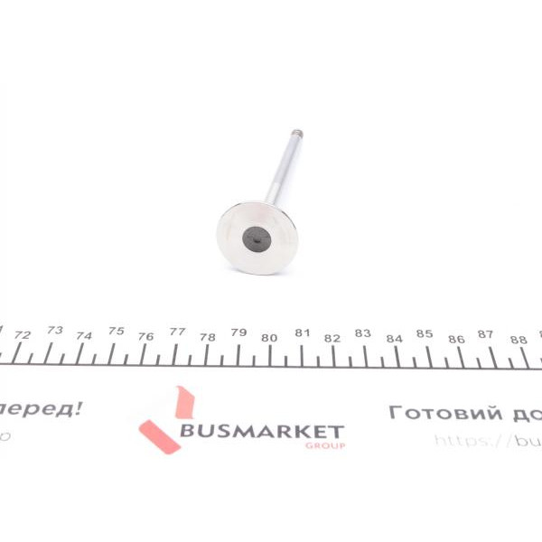 021VA31061000 MAHLE Клапан (випуск) Renault Kangoo 1.5dc (29x6x100.7)