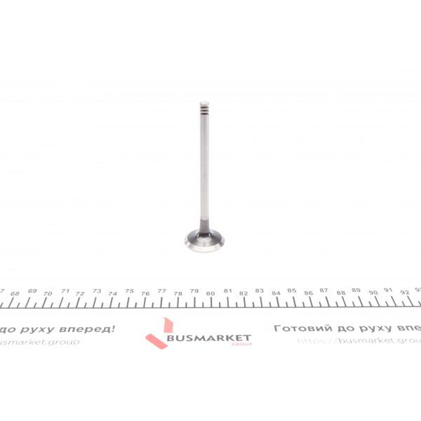 021VA31061000 MAHLE Клапан (випуск) Renault Kangoo 1.5dc (29x6x100.7)