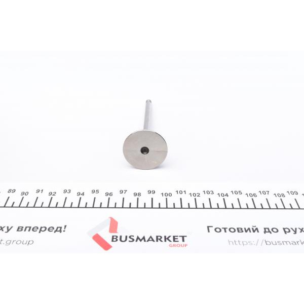 021VE31060000 MAHLE Клапан (впуск) Renault Kangoo 1.5dci 01-