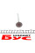 039VE30980000 MAHLE Клапан (впуск) Citroen Berlingo/Peugeot Expert 1.6HDi 05- (25.6x5.5x96.4 mm)
