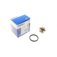 TX12174D MAHLE Термостат Ford Focus 1.4/1.6 04-12 (74°C)