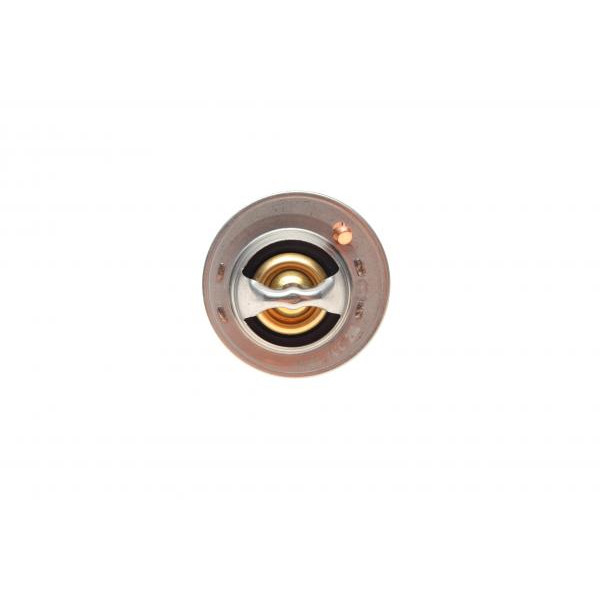 TX12174D MAHLE Термостат Ford Focus 1.4/1.6 04-12 (74°C)