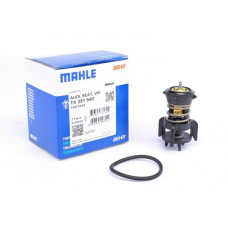 TX25194D MAHLE Термостат VW Crafter/Caddy IV/Transporter VI 1.6TDI/2.0TDI 15- (94°C)