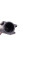 02524466191PD MEYLE Колодки гальмівні (передні) Citroen Jumper/Fiat Ducato/Peugeot Boxer 2.0-3.0HDi 06-R16(з датчиком)