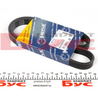 0500050925 MEYLE Ремінь генератора Fiat Ducato 1.9D/TD 94-02 (5PK925)