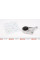 6146840014 MEYLE Подушка двигуна (передня) Opel Astra G 1.4-1.8 16V 01-