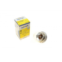 493213000 NARVA Автолампа R2 24V 55/50W P45t Standard