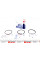 120037006200 NPR Кільця поршневі Citroen Berlingo 1.6HDI (75.00mm/STD) (3-1.95-2.5) = 8937630000