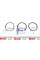 120038005100 NPR Кільця поршневі Renault Master/Opel Movano 2.5dCi/DTI (89.00mm/STD) (3.0-1.75-2.5) = 8938500000