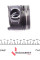 130038001000 NPR Поршень Renault Megane III/Kangoo 1.5dCi 09- (76.00mm/STD) = 7138160000