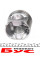 130038001421 NPR Поршень Renault Master/Opel Movano 2.3dCI/CDTI 14- (85.00mm/+0.50) = 7138255000