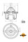 725127 NRF Термостат Fiat Sedici 1.6 16V 06-14/Suzuki Grand Vitara 1.6-2.4 98- (82°)