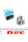 PW29530037CSHD PFI Підшипник маточини (задньої) Ford Fiesta 01- (29x53x37) (+ABS)