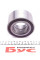PW51960050CSM PFI Підшипник маточини (передньої/задньої) VW Touareg 02-10 (+ABS) (51x96x50)