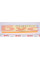 A1336 PURFLUX Фільтр повітряний Citroen Berlingo/Peugeot Partner 1.6i 16V 08-