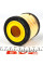L339 PURFLUX Фільтр масляний VW/Seat/Skoda 1.2i 09-