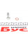 0009A QUICK BRAKE Комплект болтів Banjo (банжо) M10x1-M12x1/11x28.1-17x28/ + шайби d=10x1.5-12.3x0.8 (64 шт.)