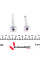 1130009X QUICK BRAKE Напрямна супорта (переднього/к-кт) Nissan Qashqai/Renault Megane IV/Scenic IV 13-
