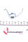 1130522 QUICK BRAKE Пружини супорта (заднього) Ford Transit/Tourneo 2.2TDCi-3.2TDCi 06- (К-кт L+R)
