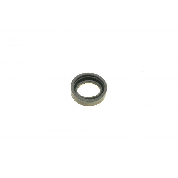 1140268 QUICK BRAKE Ремкомплект супорта (заднього) Citroen Xsara 97-05 (d=32mm) (Bosch)