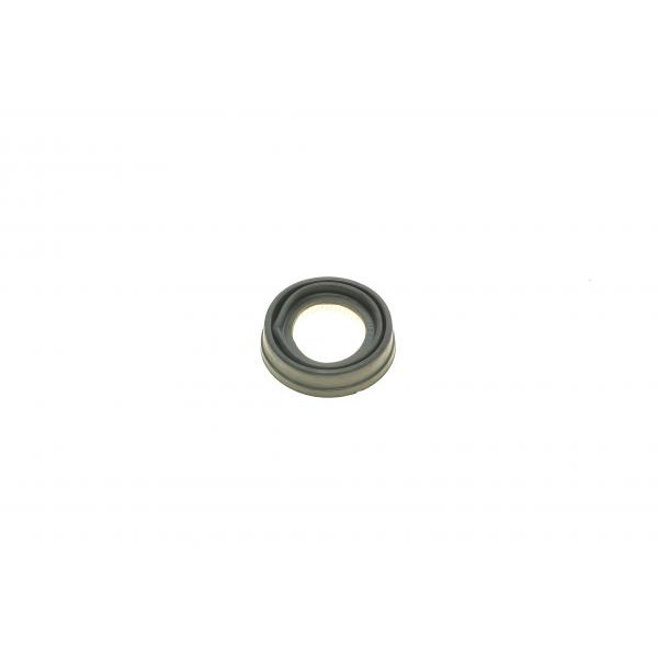 1140268 QUICK BRAKE Ремкомплект супорта (заднього) Citroen Xsara 97-05 (d=32mm) (Bosch)