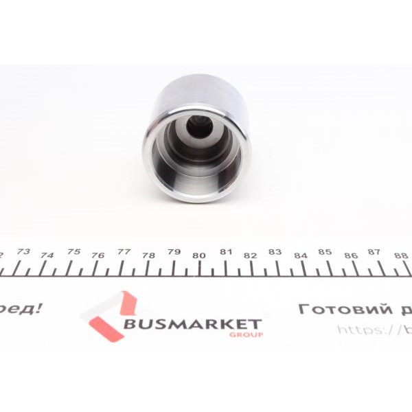 185047 QUICK BRAKE Поршень супорта (заднього) Ford Transit 06- (48x52mm) (Bosch)